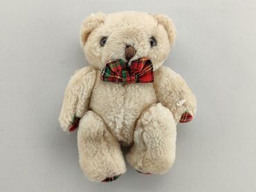 ubrania dziecięce z kubusiem puchatkiem: Mascot Teddy bear, condition - Very good