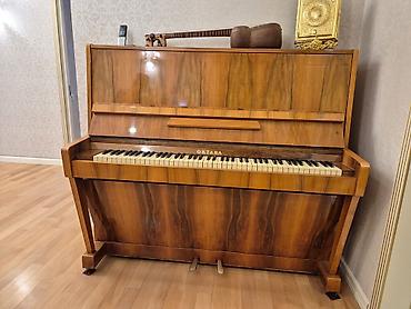 Спорт и хобби: Upright pianino – Oktava markası - Korpus: təbii taxta/kaplama — 5