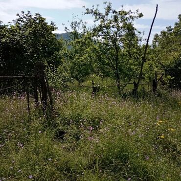 Torpaq sahələrinin satışı: Tikinti, Mülkiyyətçi, Kupça (Çıxarış), Bələdiyyə, Texniki pasport — 2