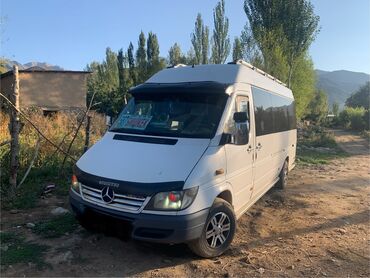 Mercedes-Benz: Mercedes-Benz Спринтер: 2004 г., 2.7 л, Механика, Дизель, Бус
