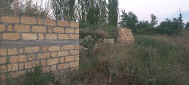 Anbar və emalatxanalar: Ünvan: Qusar şəhəri Ləyər kəndi (ləzgi ləyər) 1hk 68 sot bağ yeri — 13