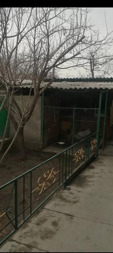 аренда электро: 64 м², 3 комнаты, Аламединский рынок / базар — 7