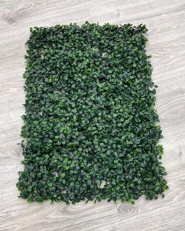 Toxumlar: 10 azn başlayan qiymətlər Suni qazon depodan bi̇r başa satişdir — 25