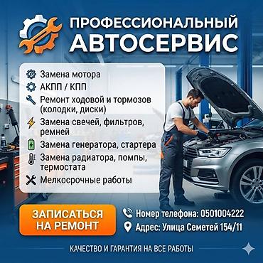 pirelli p zero: Легковое авто, Универсальный — 1