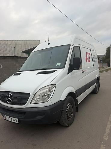 ступенька на спринтер: Mercedes-Benz Sprinter (длинная база, высокий потолок), белый фургон — 3