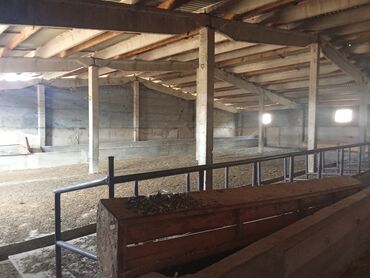 Продажа участков: 120 соток, Для сельского хозяйства, Красная книга — 1