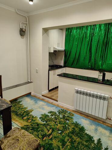 продаётся квартира в караколе: 1 комната, Домофон, Бытовая техника, Телевизор