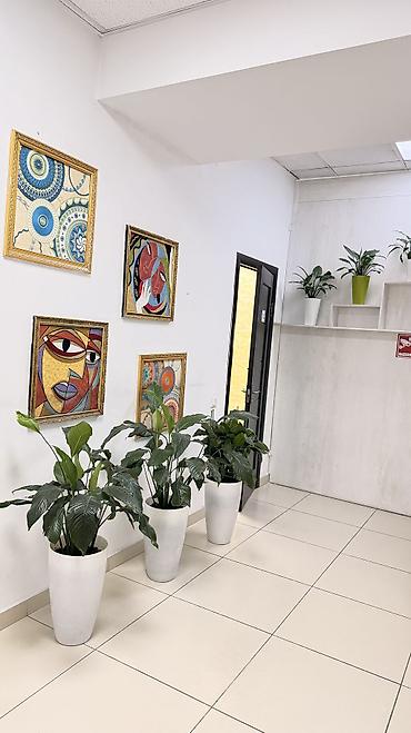 neta s бишкек: Сдаю Офисный кабинет: 15 м², В бизнес центре, С ремонтом, Первая линия — 7