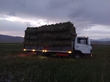 мос на гигант: Грузовик, Mercedes-Benz, Стандарт, 6 т, Б/у