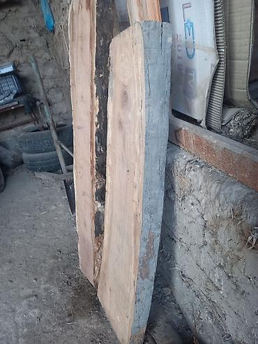 где найти сливы пантеры: 2 жыл 6 ай кыкта көмүлүп жаткан өрүк дарагынын бөлүгү чыныгы комуз — 2