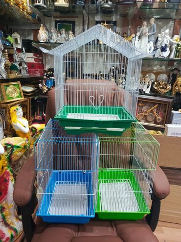 Qəfəslər: Təzə Qəfəslər 9azn boş qəfəslər Valnisti Tutuquşu Qəfəsi 9azn Amadin — 7