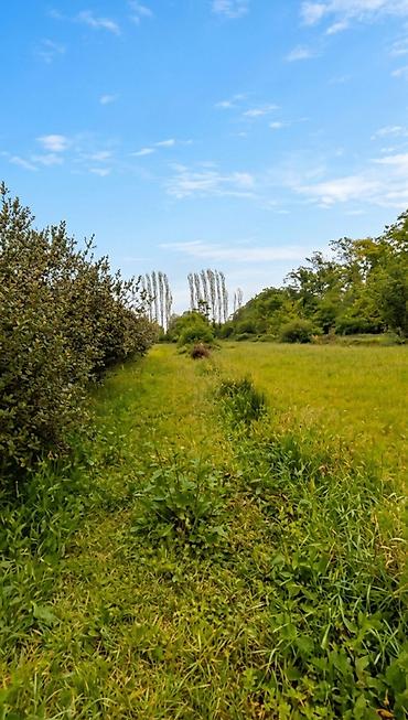 guneşli inşaat: 1500 sot, Tikinti, Mülkiyyətçi, Kupça (Çıxarış) — 4