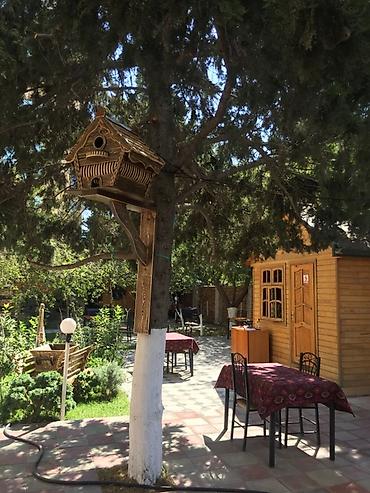 Digər bağ, çöl mebeli: Taxta bağ evi / köşk - Material: tamamilə ağac konstruksiya, xaricdə — 13