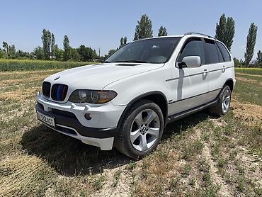 BMW: BMW X5: 2004 г., 3 л, Автомат, Бензин, Кроссовер — 11
