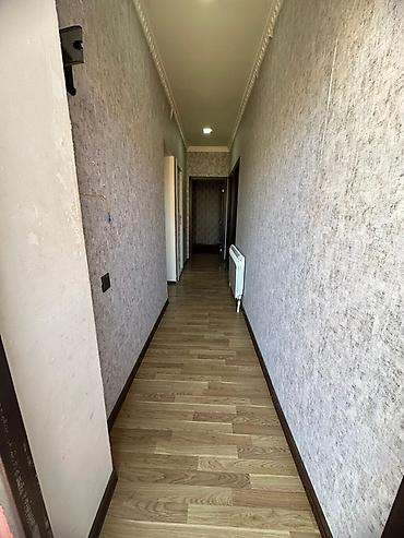 quba kiraye: 3 otaqlı, Yeni tikili, 150 kv. m — 6