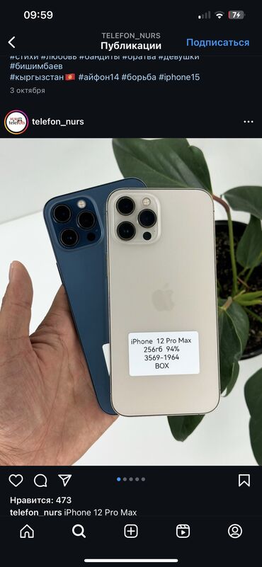 pixel 6 pro цена бишкек: IPhone 12 Pro Max, Колдонулган, 256 ГБ, Көк, 88 %