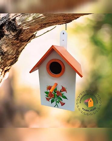 Yuvalar: Quş yuvası — 2