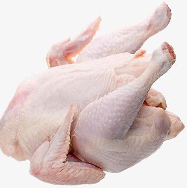 курица домашняя купить: 🐔 СВЕЖИЙ БИО-ЦЫПЛЁНОК-БРОЙЛЕР — 350 сом/кг Цыплята выращены в — 4