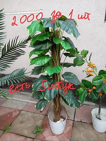 Декоративные цветы: Декоративные искусственные растения в кашпо 
горшки в комплекте — 3