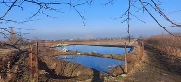 Torpaq sahələrinin satışı: 400 sot, Kənd təsərrüfatı, Mülkiyyətçi, Kupça (Çıxarış) — 19