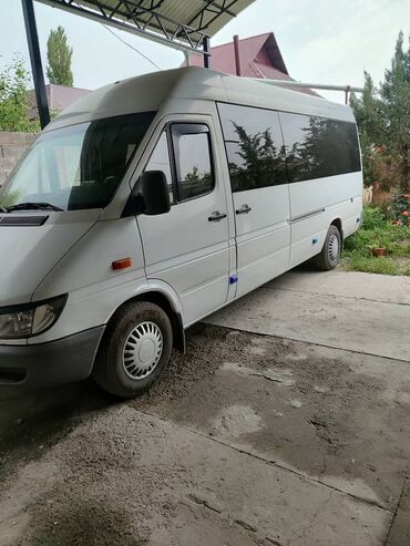 перегородки спринтер: Автобус, Mercedes-Benz, 2005 г., 2.9 л, 16-21 мест