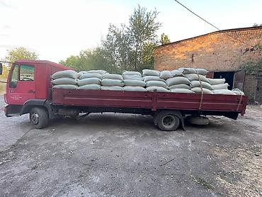цветы бишкек: Грузоперевозки по городу и региону — 6
