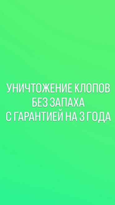 квартира ош дом быта: Дезинфекция, дезинсекция | Клопы | Квартиры, Офисы, Транспорт