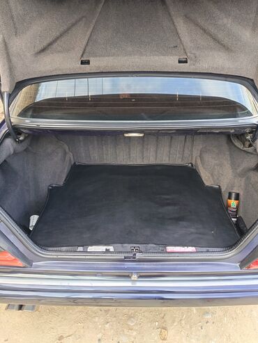 Mercedes-Benz: Mercedes-Benz W124: 2 l | 1995 il Sedan — 15