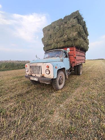 man tgm: Продаю ГАЗ 53 — 3