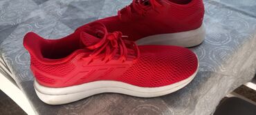 Patike: Patike, Adidas, veličina - 41.5 — 13