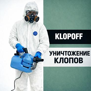 Дезинфекция, дезинсекция: Дезинфекция, дезинсекция, | Клопы, | Транспорт, Офисы, Квартиры — 1