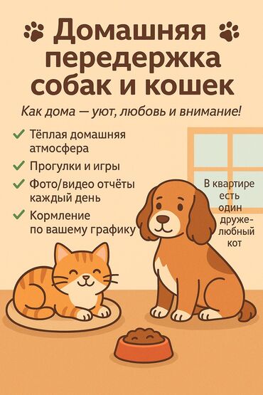 отдам в хорошие руки породистых котят: Забота, как у себя дома — с любовью и вниманием! 📍 Передержка в