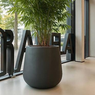 plants: ✨ Стиль Вашего Офиса/Дома/Террасы начинается с Роскошных Деталей ✨ 👉 — 1