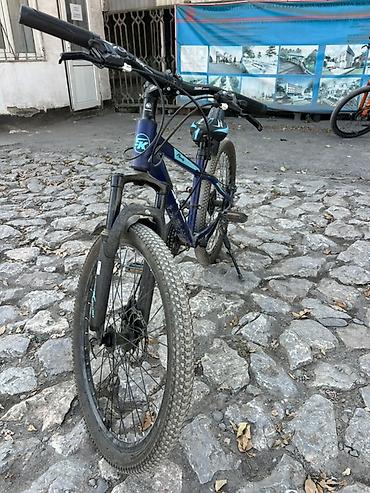 Горные велосипеды: Горный велосипед SK Selmax SN-150 - Рама: стальная, размер — 4