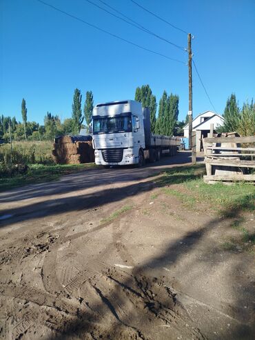 грузовой сканя: Тягач, DAF, 2005 г., Тентованный