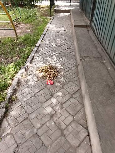 ищу уборщица: Требуется Уборщик, График: Шестидневка, Полный рабочий день — 7