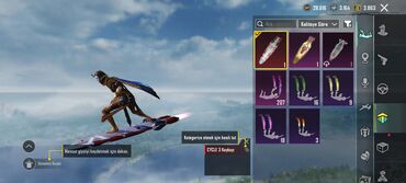 Digər: PUBG Mobile hesabı – zəngin kosmetik kolleksiya - X-Suit — 30