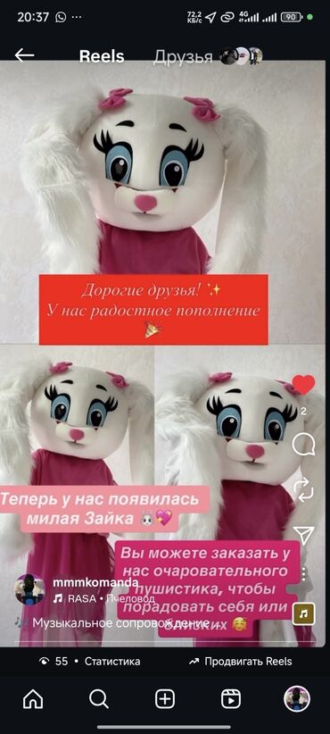 костюм мишки тедди для взрослых на прокат: Чоң куурчак, Жаныбар, Коён