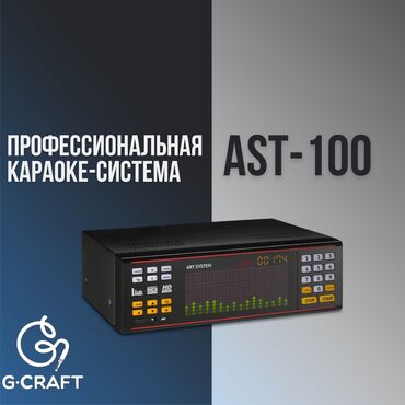 колонки аудио: Профессиональная караоке-система AST-100. AST-100 представляет собой