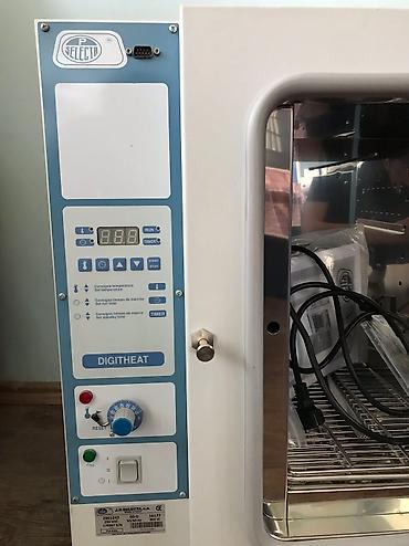 inqivator cuce: Təbii konveksiya laboratoriya inkubatoru,yenidir hec bir problemi — 4