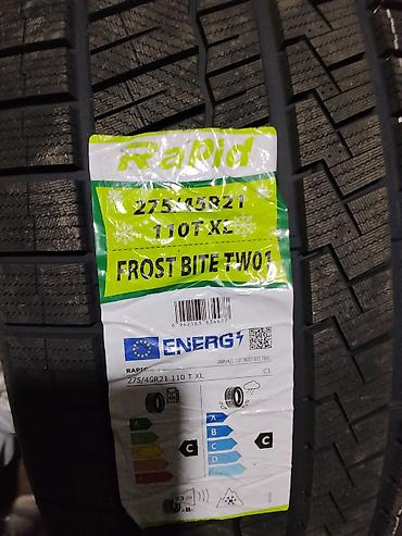 27545 r21: Rapid Frost Bite TW01 — зимняя шина для SUV и кроссоверов. - Размер — 2