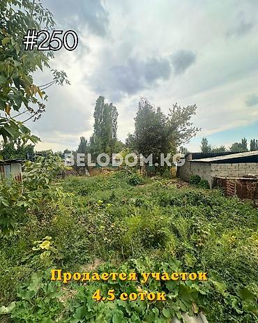 добрыня дача: 4 соток — 1