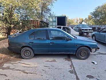 гранат анар: Крышка багажника Nissan, 1993 г., Б/у, Оригинал — 9