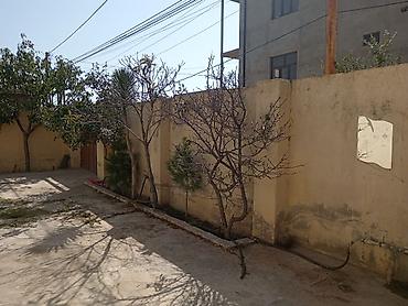 Qonaq otağı dəstləri: Klassik üslubda qonaq otağı dəsti Mebel komplekti: - 3 nəfərlik geniş — 30