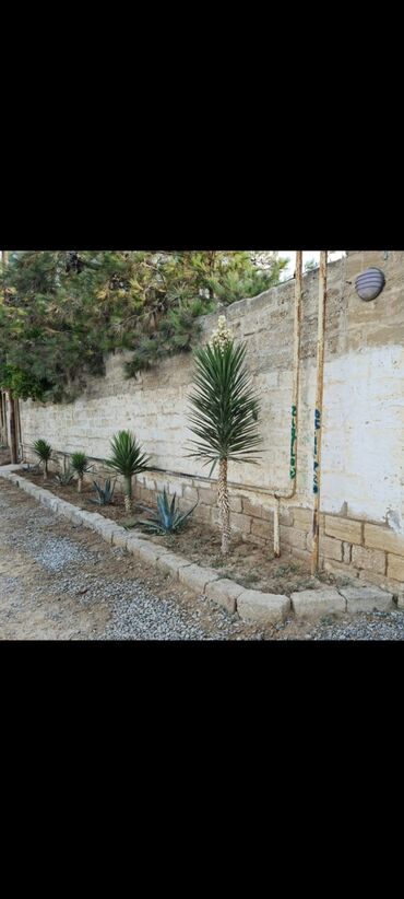 Həyət evləri və villaların satışı: 4 otaqlı, 180 kv. m, Orta təmir -da lalafo.az — 1 Həyət evləri və villaların satışı: 4 otaqlı, 180 kv. m, Orta təmir — 1