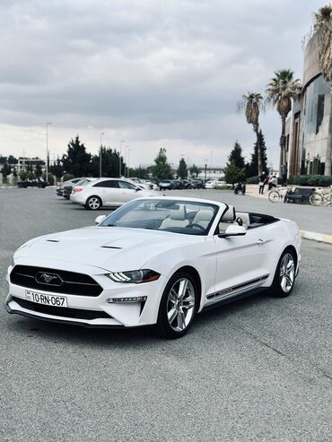 Nəqliyyat vasitəsinin icarəsi: Günlük, Hyundai, Depozitsiz — 22