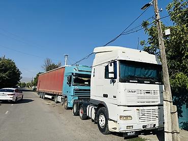 ош жапалак: Сүйрөгүч, DAF, Прицепсиз — 1