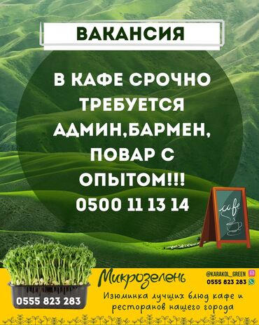 требуется водитель с машиной: В кафе срочно требуется админ,бармен,повар с опытом!!!