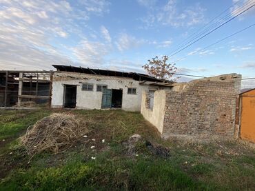 участок или времянка алтын ордо по ул анкара ж м алтын ордо по ул горького: 2 соток, Красная книга