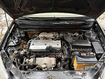 Kia: Kia Rio: 1.4 l | 2008 il Sedan — 6